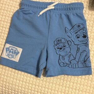 Paw Patrol Light Blue Kids Shorts with Character Print